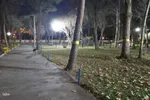 یک شب سرد پاییزی در پارک شیخ شهاب‌الدین اهری