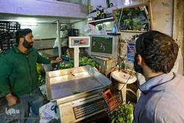 تا پای جان برای ایران اسلامی