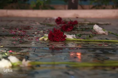 مراسم گلباران و عطرافشانی مزار مطهر شهدا در قم