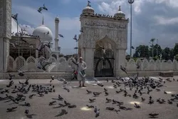 Apartheit droht in Indien wegen Behandlung der Muslime