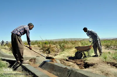 اروی جهادی در روستاهای محروم خراسان جنوبی

