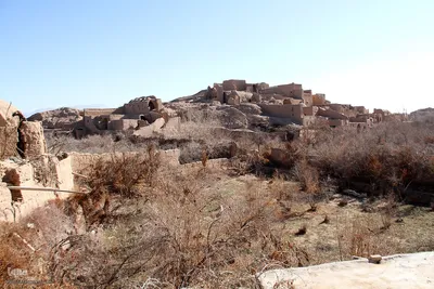 نشست خبری میرنژاد شهردار شهر شاهدیه یزد