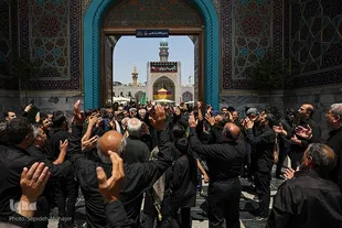 فیلم | عزاداری 28 ماه صفر در حرم امام رضا(ع)