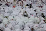 جشن تکلیف ۵ هزار نفری دختران در تبریز