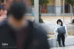 تعویض پرچم حضرت شاهچراغ (ع)
