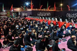 امیرحسین رادنیا