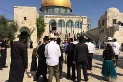 Le Jihad Islamique a mis en garde contre la poursuite de la profanation d'Al-Aqsa
