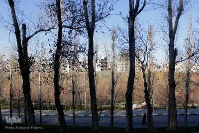 صدای پای بهار در تفرجگاه ائل‌گلی تبریز