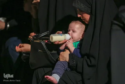 عزاداری هیئت محبان ثارالله شیراز‎