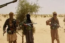 20 Militants Killed in Mali