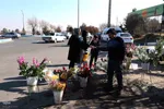 لیلةالرغائب در وادی رحمت تبریز