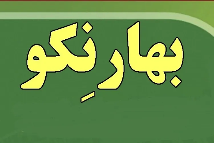 كمپین «كرونا را شكست می‌دهیم» در فارس به راه افتاد