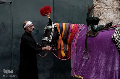 یک مرد مسلمان شیعه در یونان، اسب خود را برای شرکت در مراسم محرم در پیره، نزدیک آتن آماده می کند