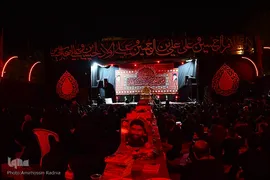 امیرحسین رادنیا