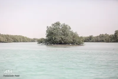 طبیعت صفر مرزی چابهار