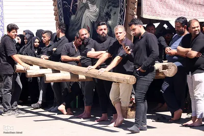 مراسم نخل‌برداری به مناسبت شهادت امام رضا(ع) در یزد‎