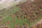 رنگین‌کمان رنگ‌ها در سرزمین ارسباران