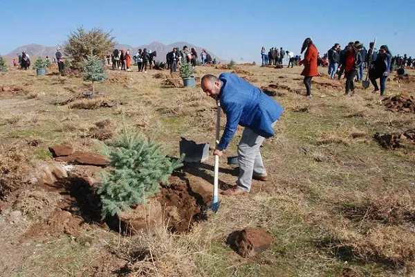 Bu yıl fidanlar Filistin'de devam eden soykırım anısına dikildi