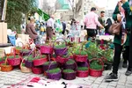 حال و هوای نوروز در سرزمین آفتاب‎‎
