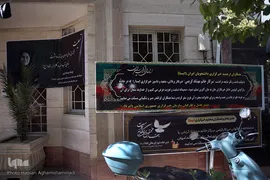خبرگزاری ایسنا در سوگ فقدان مهشادکریمی، خبرنگار حوزه محیط زیست
