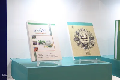 غرفه جهاددانشگاهی خراسان جنوبی، غرفه برتر نمایشگاه ایران و افغانستان شد