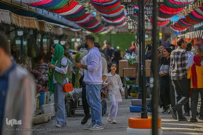 رونق بازار گل و گیاه در آستانه بهار