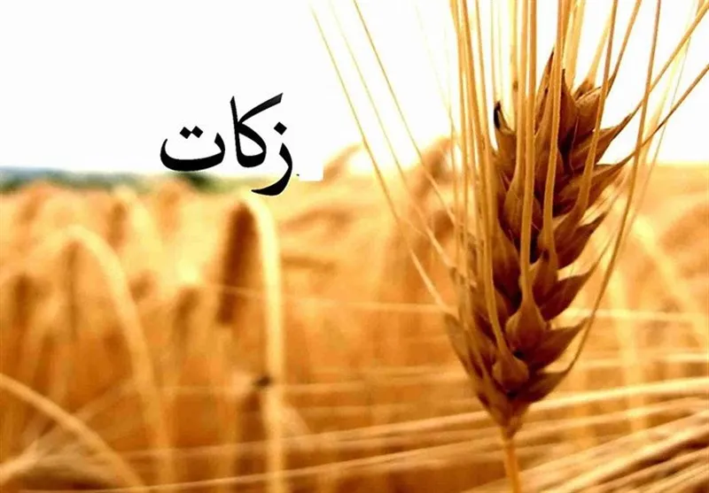 برنامه‌های ترویجی حوزه زکات در استان مرکزی افزایش یابد
