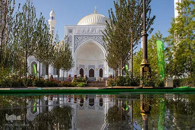 مسجد «فخر المسلمین»(افتخار مسلمانان) در شهر شالی جمهوری چچن