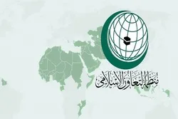 منظمة التعاون الإسلامى تؤكد تراجع ظاهرة الإسلاموفوبيا