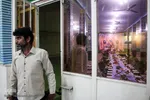 مسجد حضرت مهدی (عج) ملاثانی 