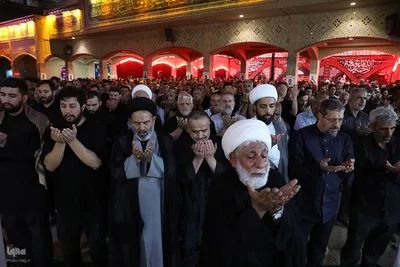 بازدید مسئولان حج و زیارت از خدمات به زائران در مسیر مشایه و کربلای معلی