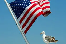 Studie: Anti-muslimische Haltung in USA steigt