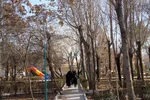تور رسانه‌ای اتوبوس خبر و بازدید از طرح‌های شهرداری منطقه یک یزد