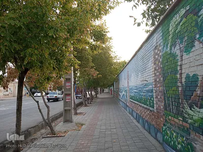 خودنمایی فصل خزان در اولین روزهای فصل پاییز