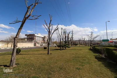 روز طبیعت در زنجان