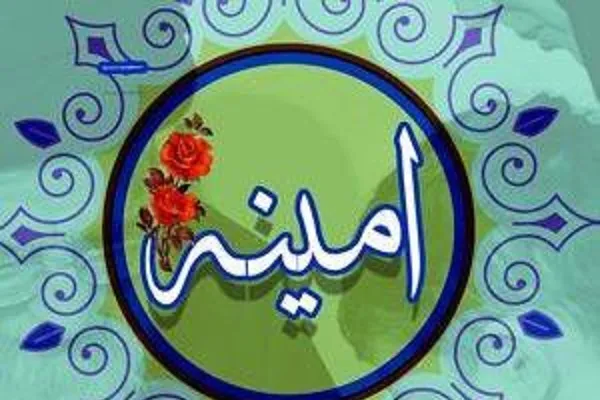 اجرای طرح «امینه» ویژه خانواده شهدای مدافع حرم