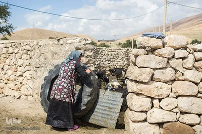 آمنه گاهی اوقات در خانه آشپزی می‌کند و از گوسفندان تازه متولد شده نگه‌داری می‌کند.
