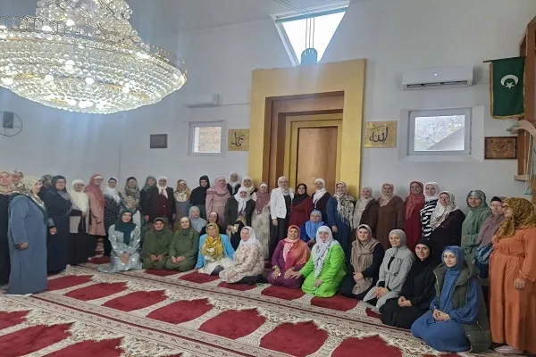 البوسنة: برنامج 