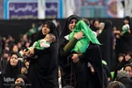 همایش شیرحوارگان در کرج