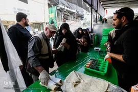 خدمت رسانی موکب جوادالائمه (ع) به زوار اربعین