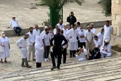 290 zionistische Siedler stürmen Gelände der Al-Aqsa-Moschee + Video