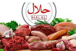 Mswada wa kupiga marufuku uchinjaji 'Halal' wafutwa Ubelgiji