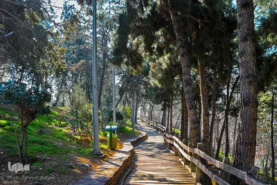 هوای بهاری تهران