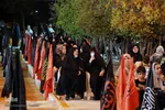 موکب انصارالمهدی(عج) در شیراز