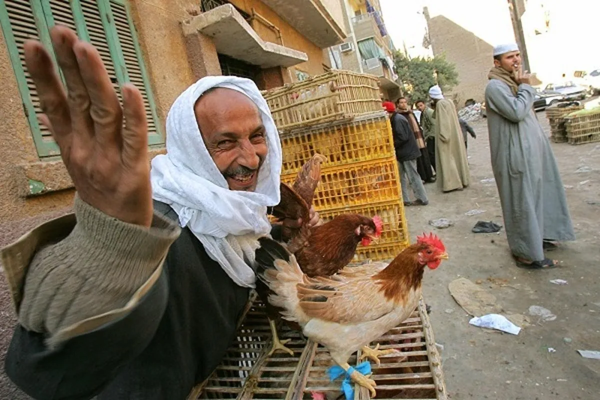 La fatwa qui suscite le tollé en Egypte