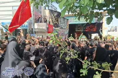 نخل گردانی جهادیه سمنان
