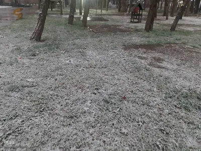 بارش برف زمستانی در اهر