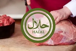 Russian Halal Exports to Persian Gulf Countries and Egypt Could Grow Six Times by 2030