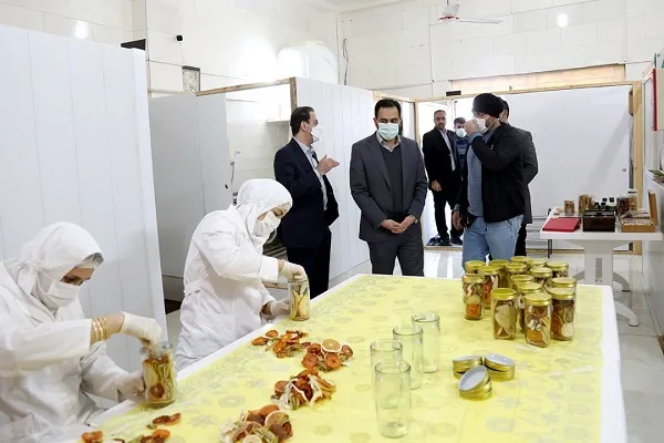 ایجاد 300 هزار شغل برکت در سال جاری