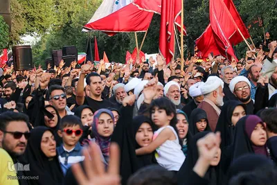 تجمع شیرازی‌های غیور علیه ضاربین بانوی آمر